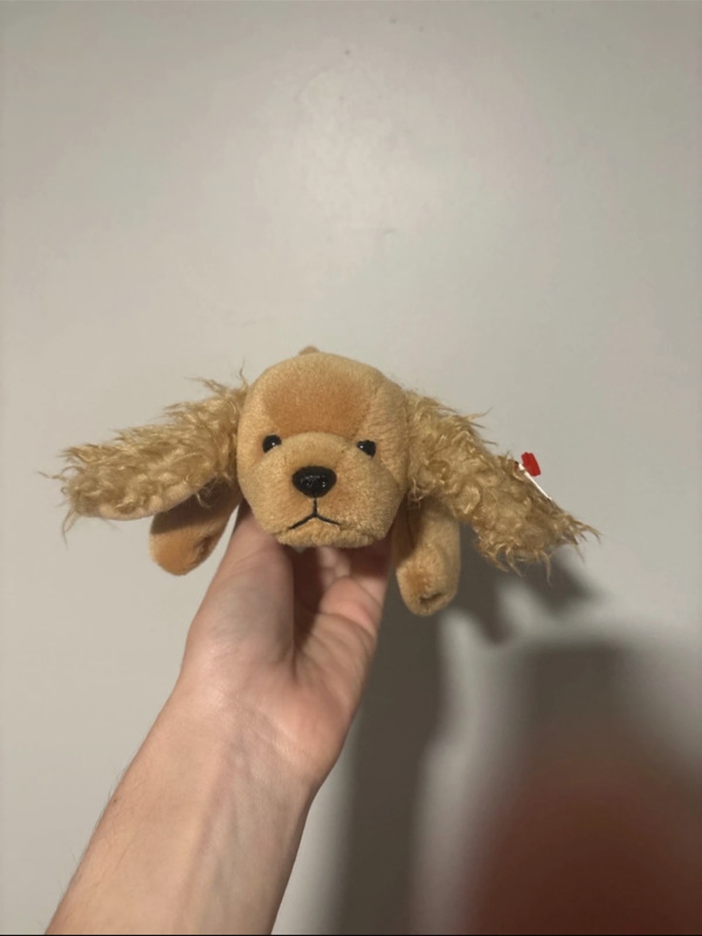 Ty Beanie Babies “Spunky”